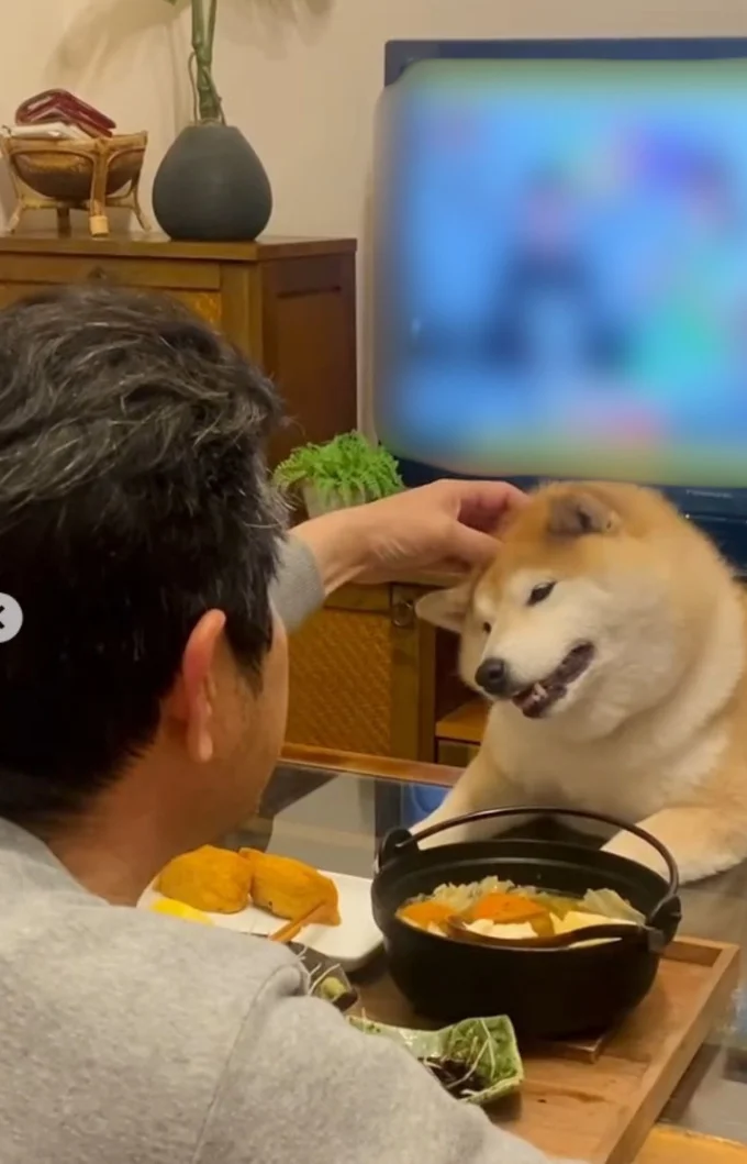 頭をなでなでされる▶耐えきれなくなり…(⇒次へ)