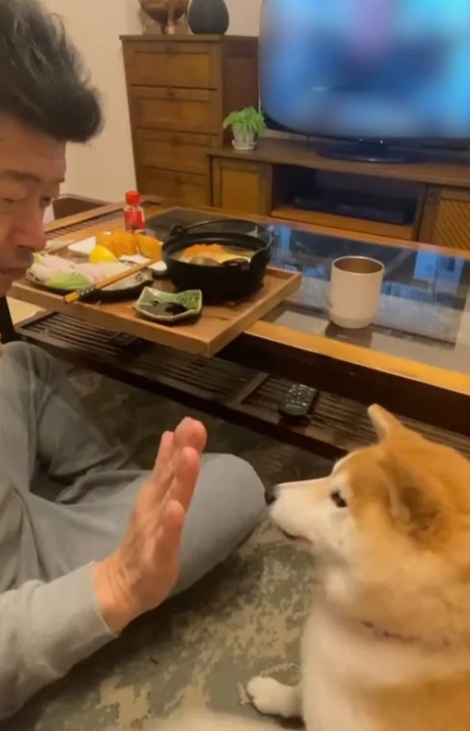 お座り▶そして…(⇒次へ)