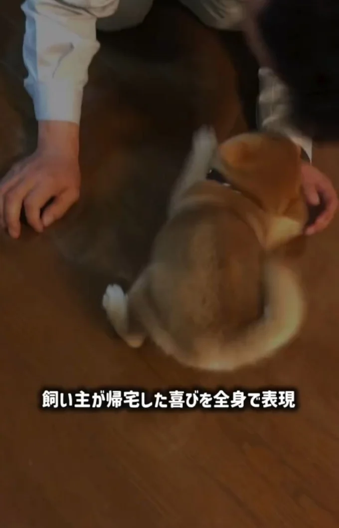 大はしゃぎ!▶現在は…(⇒次へ)