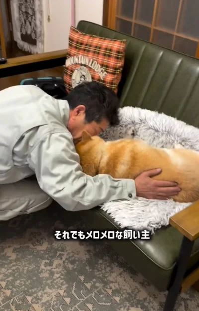 小雨ちゃんにメロメロ▶（次画像からマイペースな柴犬のコミックエッセイ『柴犬ぽんちゃん、今日もわが道を行く』が読めます）