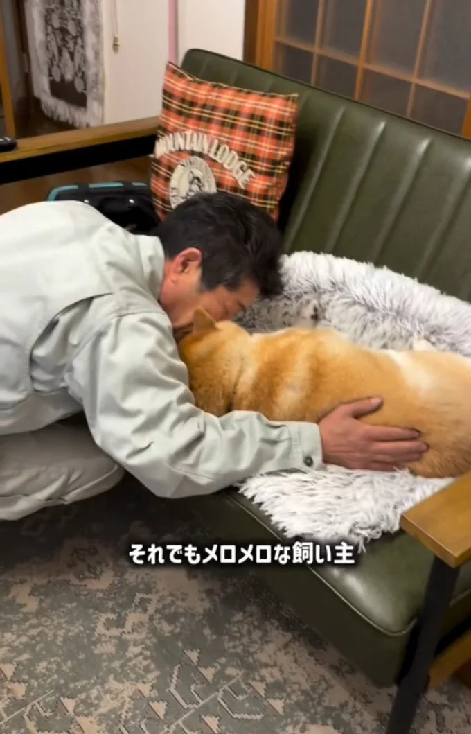 小雨ちゃんにメロメロ▶(次画像からマイペースな柴犬のコミックエッセイ『柴犬ぽんちゃん、今日もわが道を行く』が読めます)