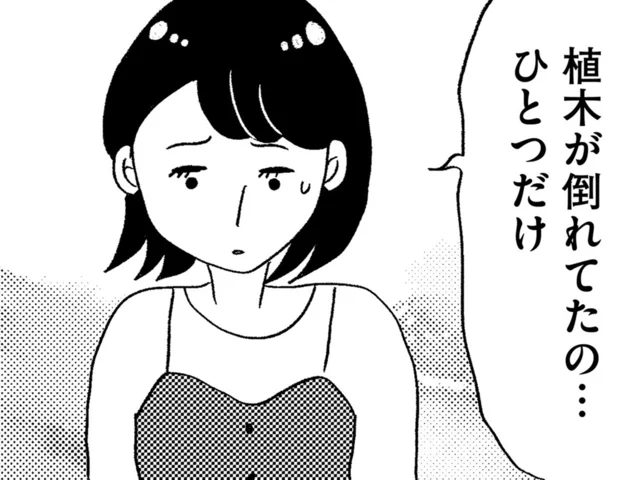 なんでひとつだけ？ 家の植木が不自然に倒されていることへの違和感／この街の誰かに嫌われています（4）