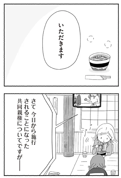 『離婚しても終わらない 共同親権がはじまる日』より