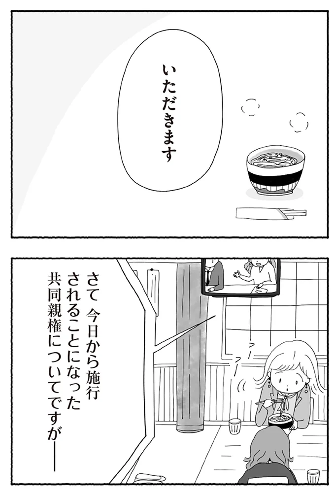 『離婚しても終わらない 共同親権がはじまる日』より
