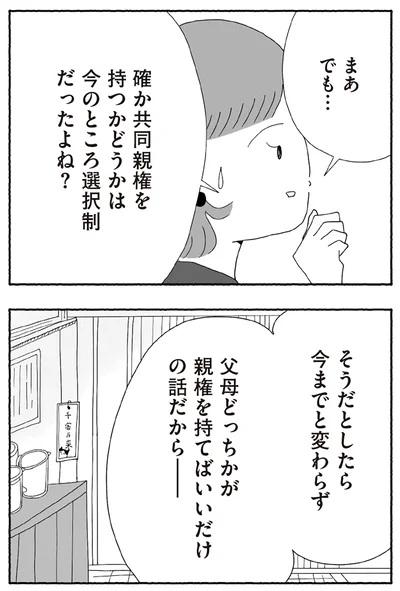 『離婚しても終わらない 共同親権がはじまる日』より