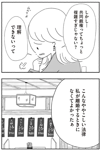 『離婚しても終わらない 共同親権がはじまる日』より