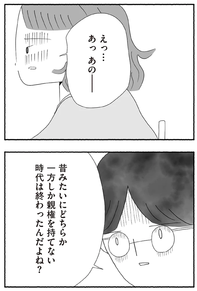 『離婚しても終わらない 共同親権がはじまる日』より
