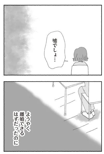『離婚しても終わらない 共同親権がはじまる日』より