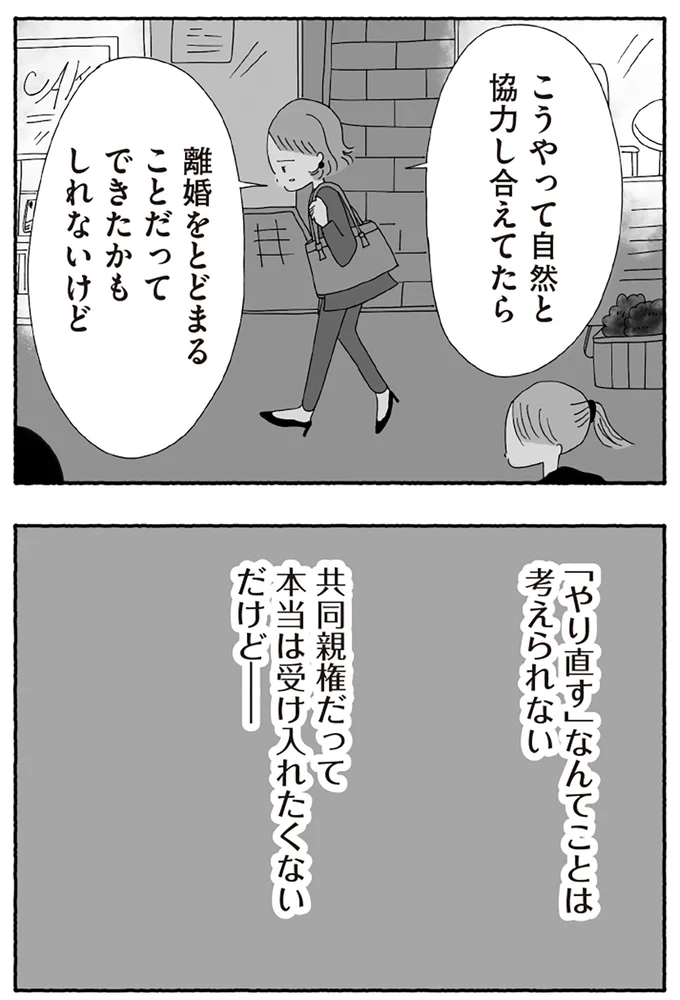 『離婚しても終わらない 共同親権がはじまる日』より