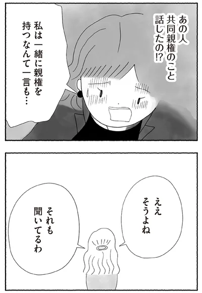 『離婚しても終わらない 共同親権がはじまる日』より