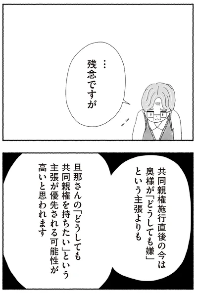 『離婚しても終わらない 共同親権がはじまる日』より