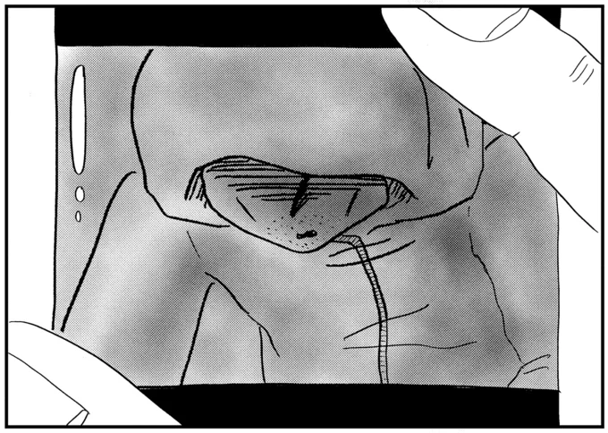 拡大してみると