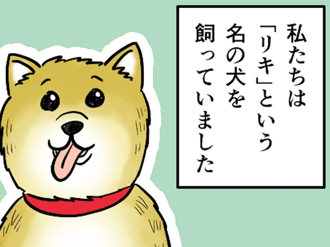 犬を飼っていました