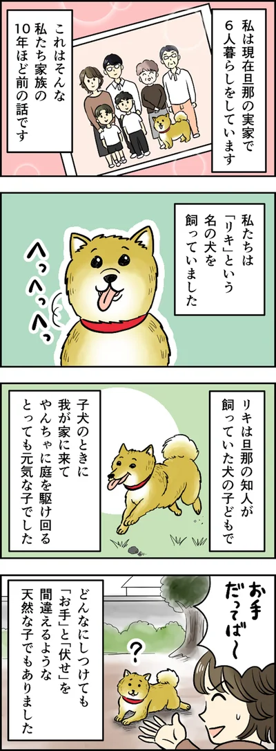 10年ほど前の話です
