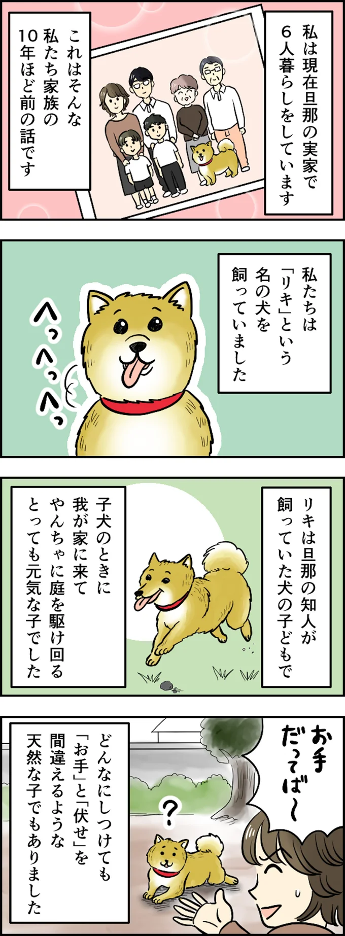 10年ほど前の話です