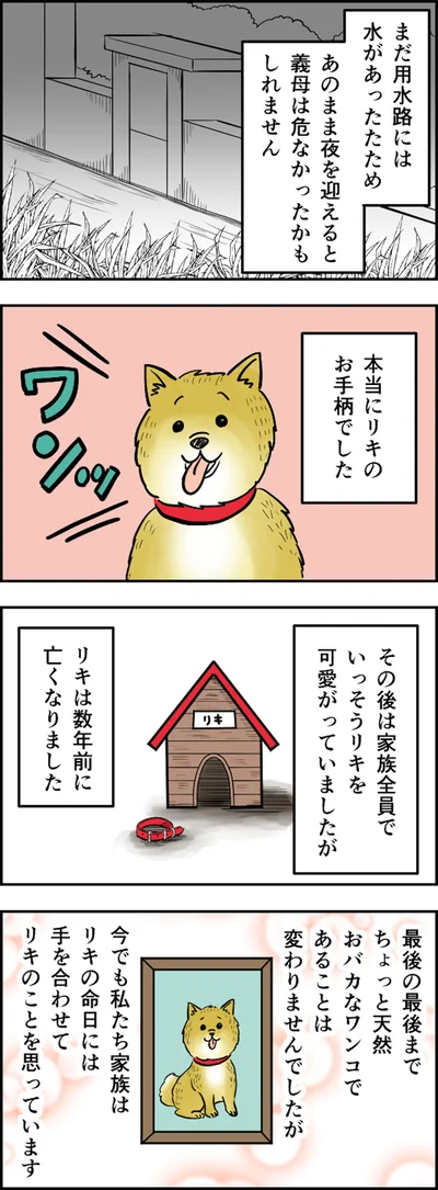 本当にお手柄でした