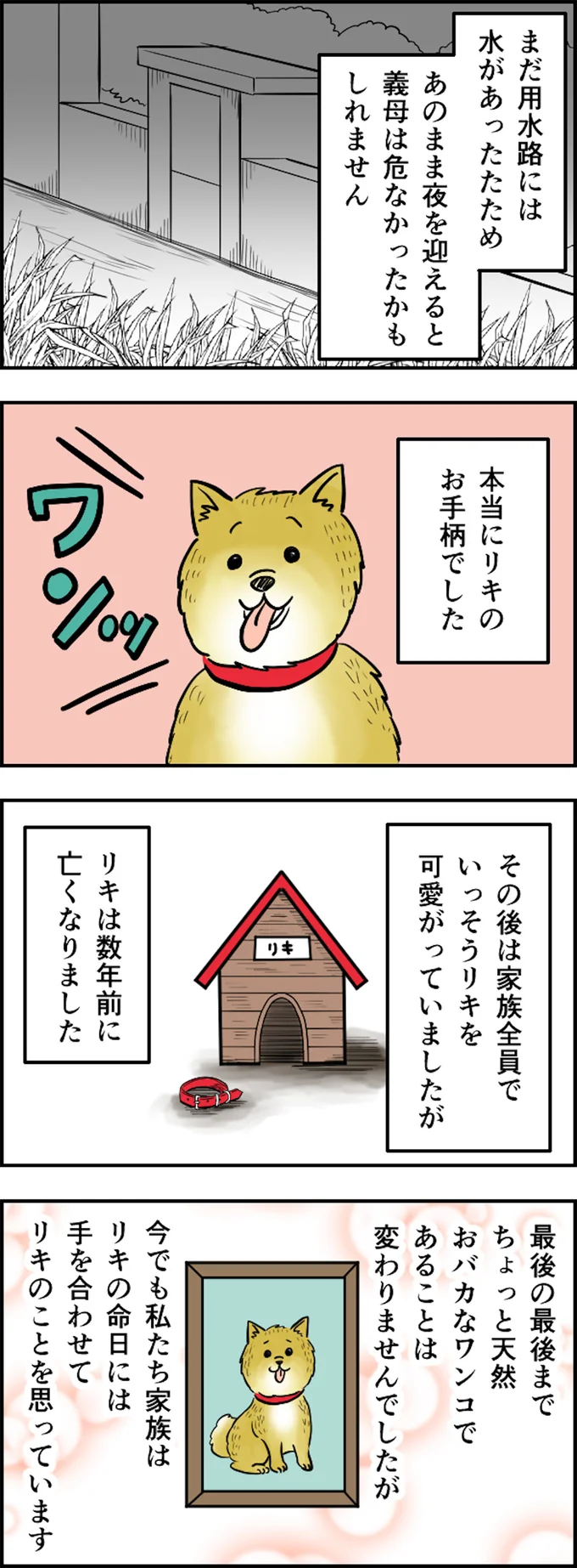 本当にお手柄でした