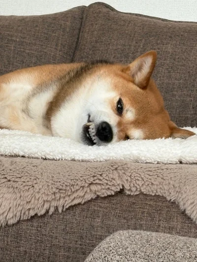 目が…開いてる…！▶どアップにしたら!?（⇒次へ）