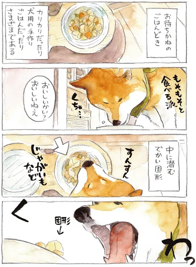 『柴犬ぽんちゃん、今日もわが道を行く2』より