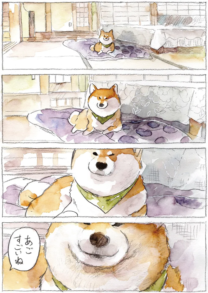 『柴犬ぽんちゃん、今日もわが道を行く2』より