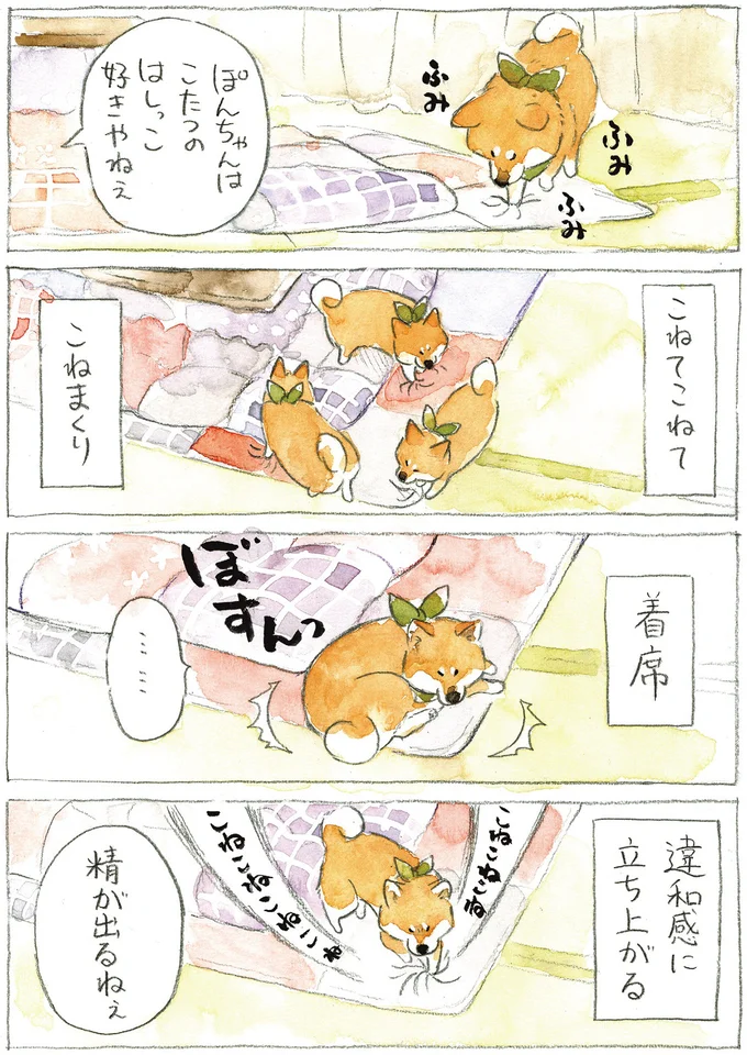 『柴犬ぽんちゃん、今日もわが道を行く2』より