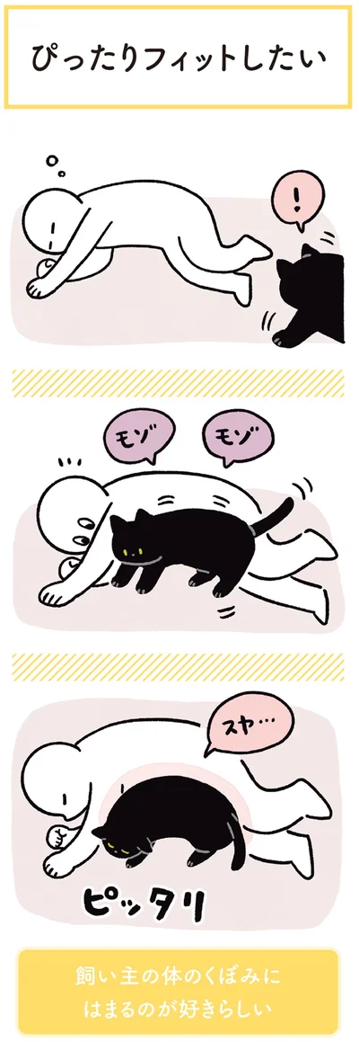 『黒猫ろんと暮らしたら3』より