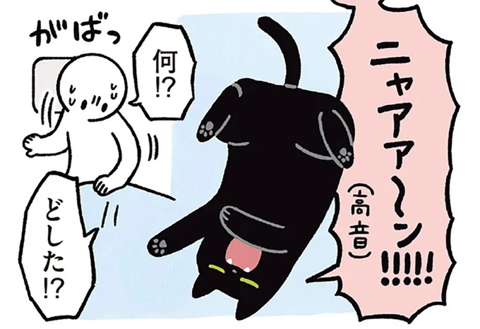 何!?どした!?