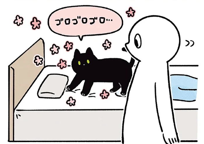 早朝ミッション発動！飼い主を叩き起こして満足顔の黒猫ろん