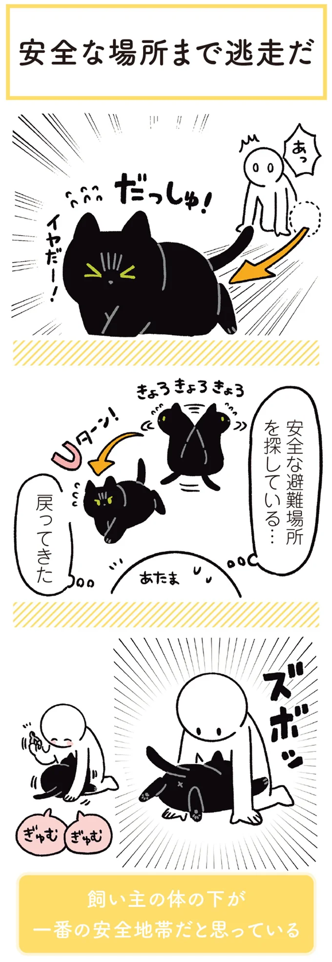 安全な避難場所を探している…