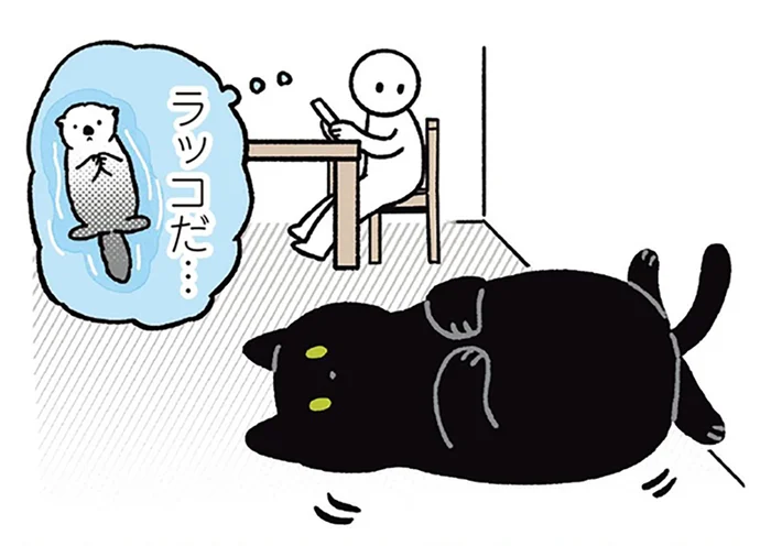 カメラを向けた瞬間終了…。ラッコみたいに寝転ぶ黒猫ろん