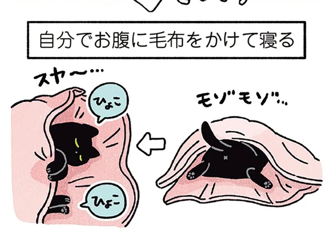 自分でお腹に毛布をかけて寝る