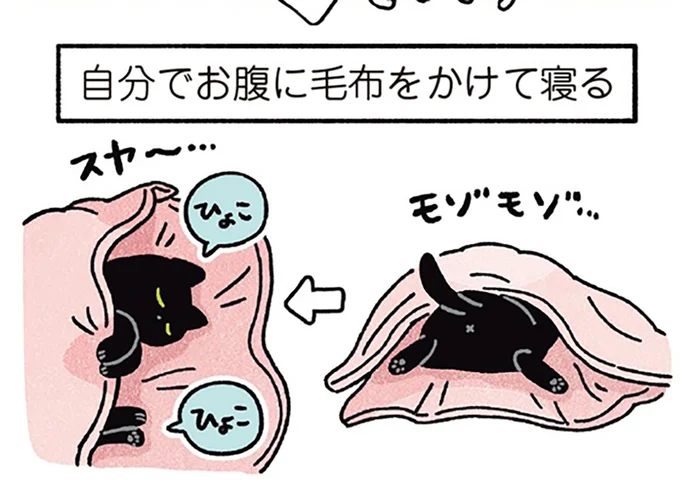 まるで人間みたい。猫らしからぬ黒猫ろんの寝姿