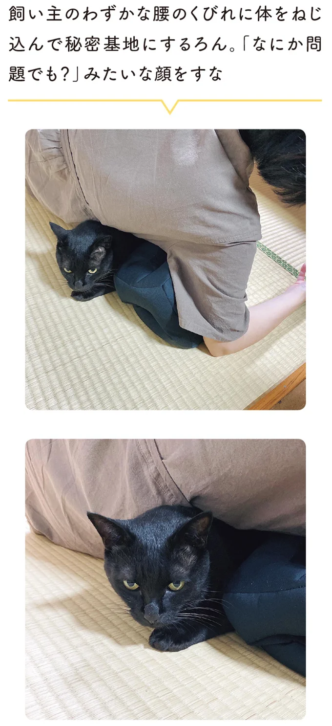 「なにか問題でも？」