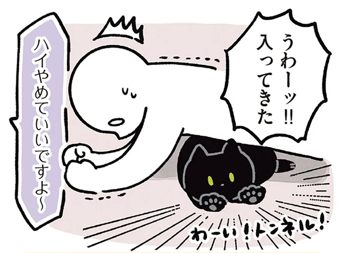 筋トレ中は要注意!?やめさせてくれない黒猫ろん