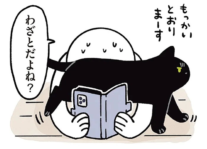 スマホと飼い主の間をウロウロ。黒猫ろんのかまってアピール