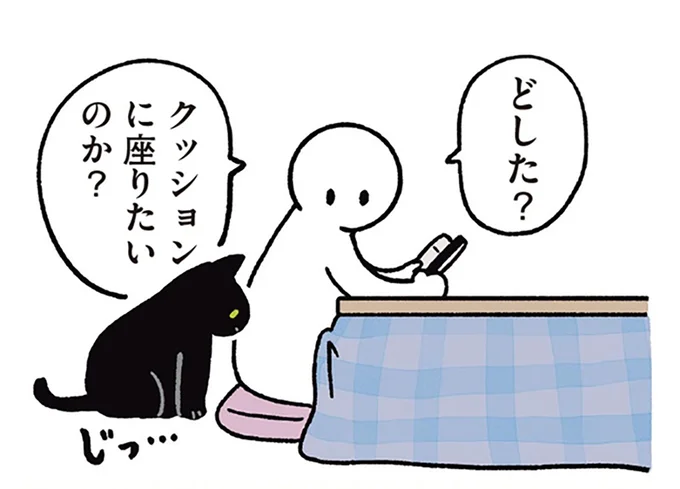 クッションに座りたいのか？