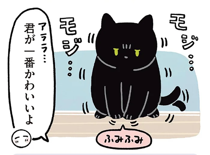 「犬、かわいいな！」そのひと言でモジモジし始めた黒猫ろん