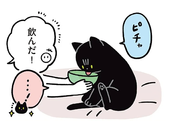 水を飲んでほしくて飼い主奮闘！黒猫ろんの水分補給サポート