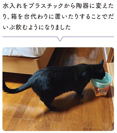 だいぶ飲むようになりました