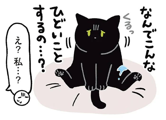 水を飲んでいたはずが…黒猫ろんが突然しょんぼりした理由