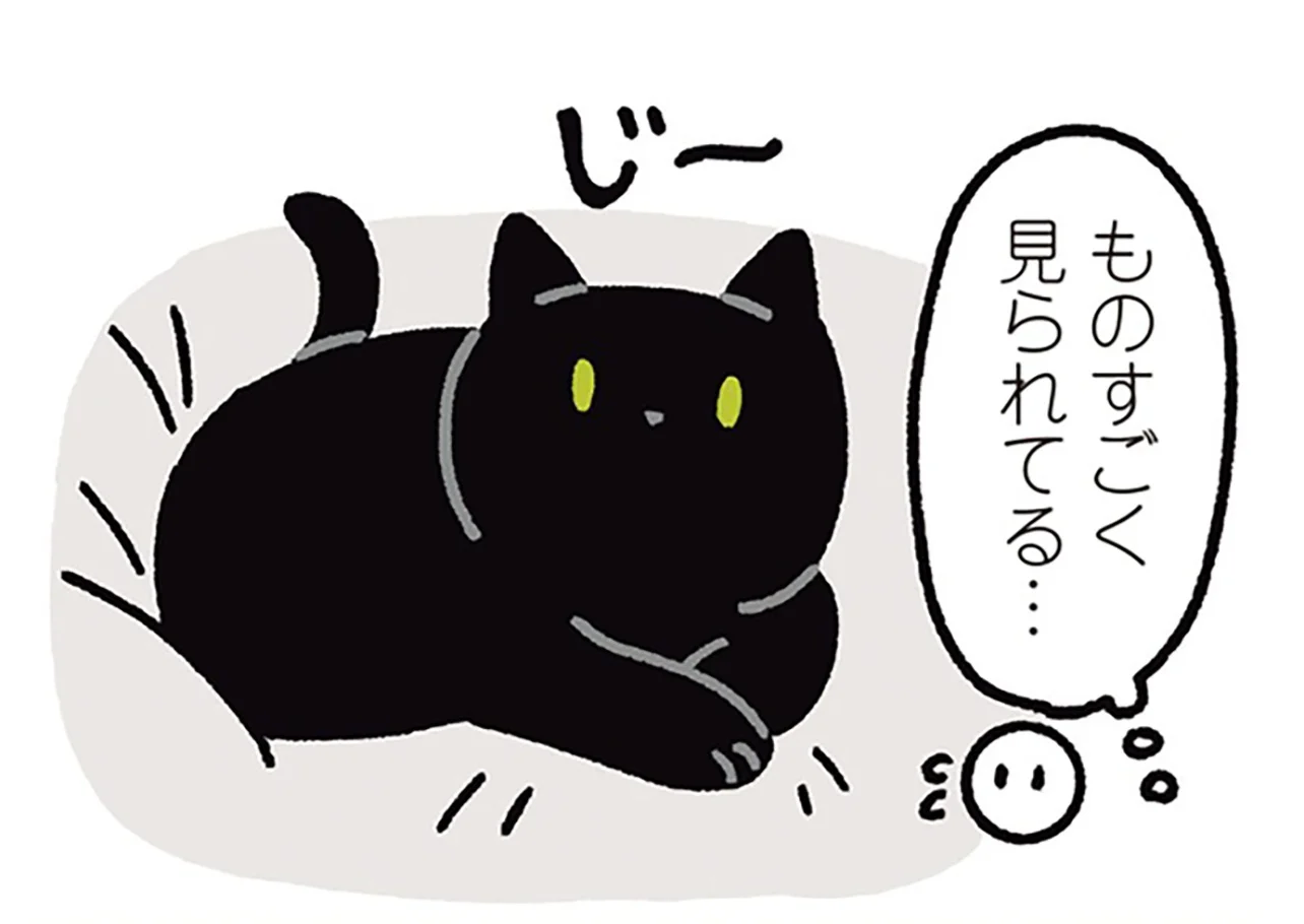 ねこ【プロフ必読】【返信遅れます】 　no2 ゆっくりまばたきでお返事。黒猫ろんの愛情表現（画像1/6） - レタスクラブ