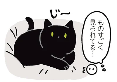 ものすごく見られてる…