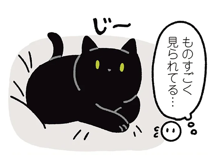 ゆっくりまばたきでお返事。黒猫ろんの愛情表現