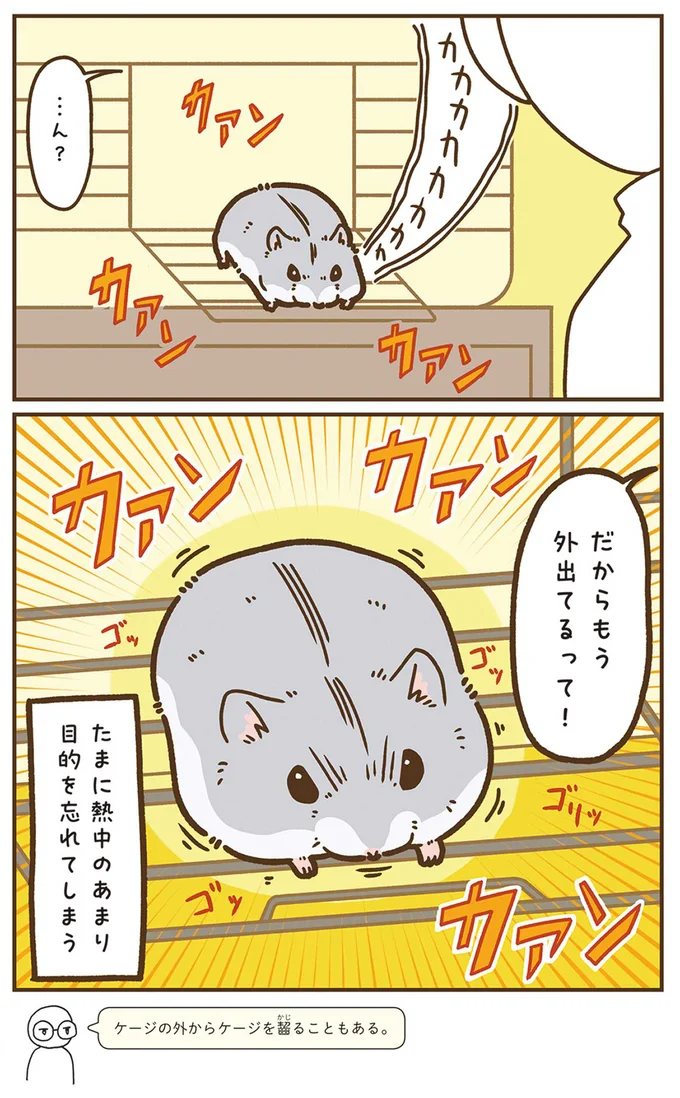 『今日もハムスターから目が離せない！』より