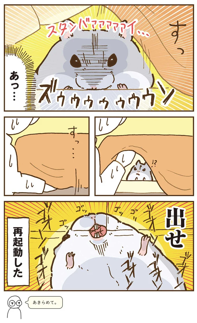 『今日もハムスターから目が離せない！』より