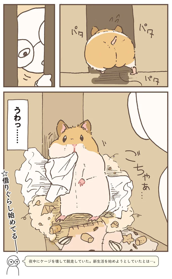 『今日もハムスターから目が離せない！』より