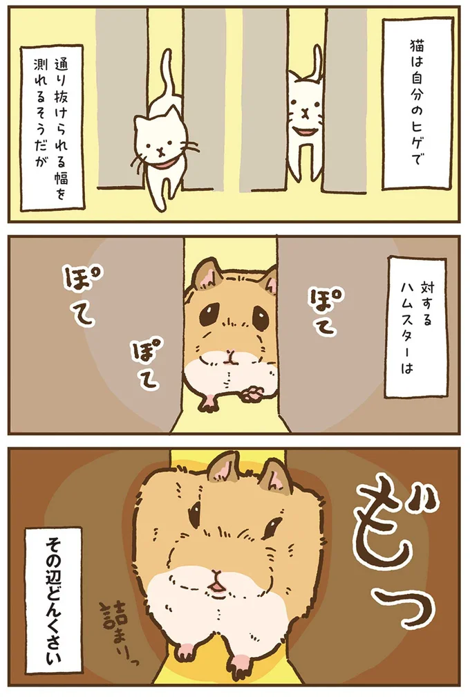 『今日もハムスターから目が離せない！』より