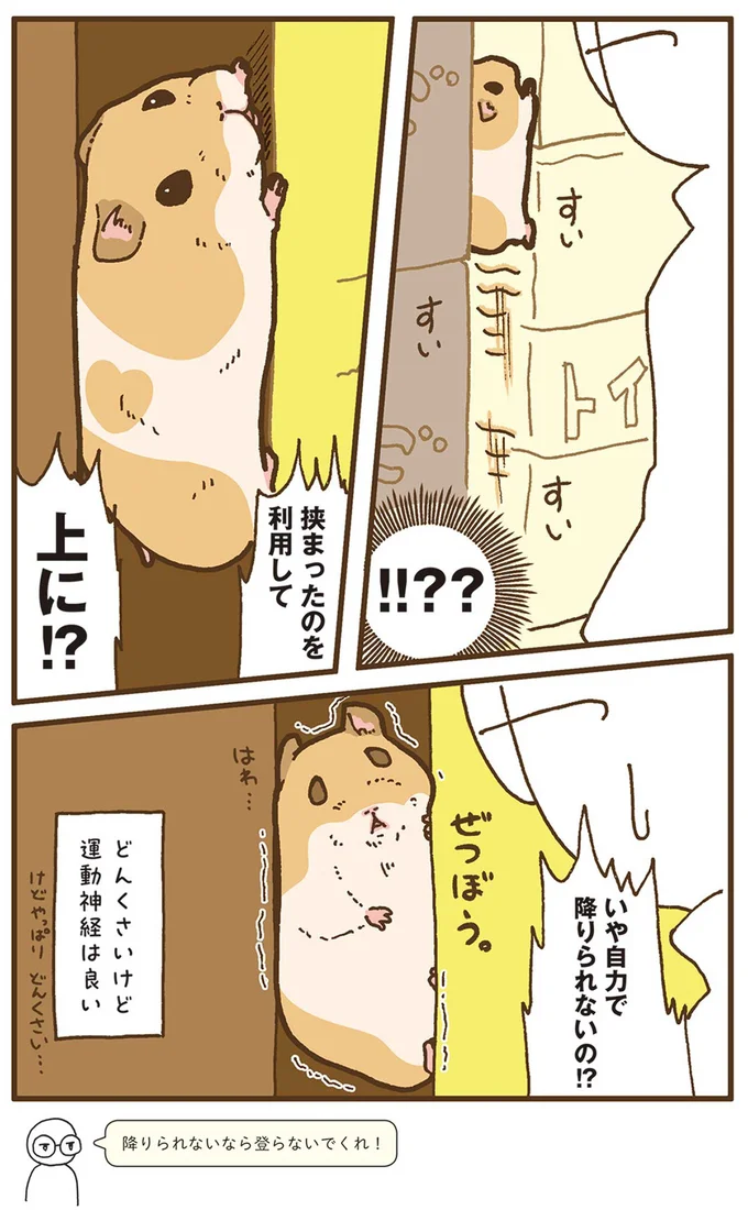 『今日もハムスターから目が離せない！』より