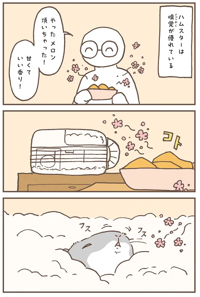 『今日もハムスターから目が離せない！』より