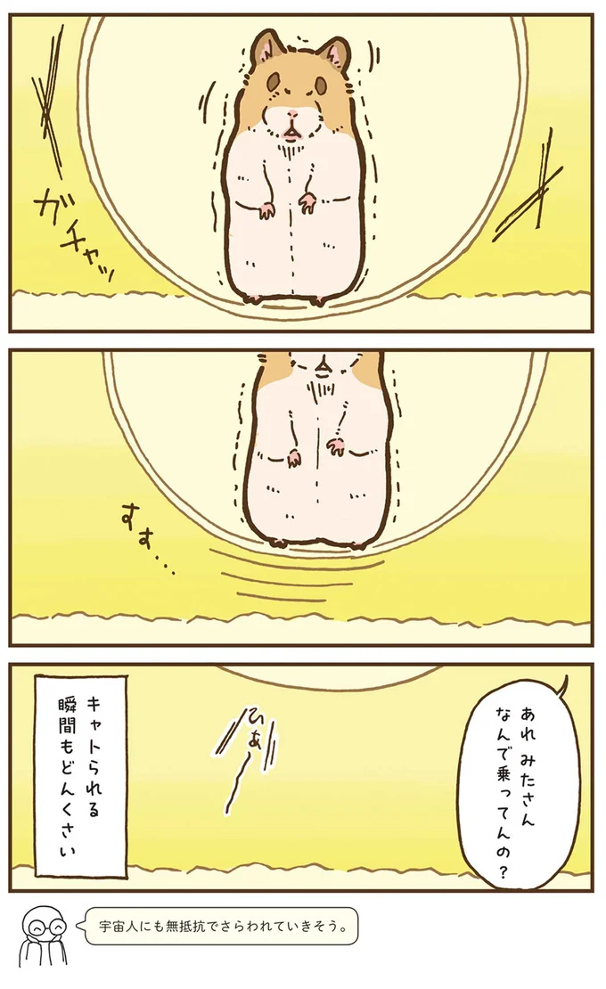 『今日もハムスターから目が離せない！』より
